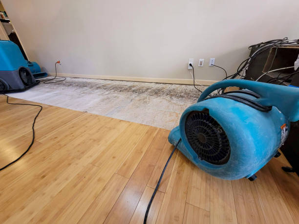 Professional Emergency Water Damage technician working in Mill Village, PA